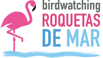 logo-roquetas-de-mar